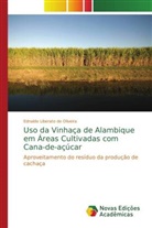 Ednaldo Liberato de Oliveira - Uso da Vinhaça de Alambique em Áreas Cultivadas com Cana-de-açúcar