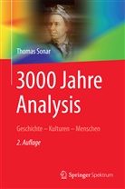 Thomas Sonar - 3000 Jahre Analysis