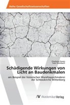 Charlott Feneis, Charlotte Feneis, Sven Steinbach - Schädigende Wirkungen von Licht an Baudenkmalen