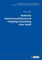 Patrick Hoor, Oliver Fehrenbacher - Verdeckte Gewinnausschüttung und freigebige Zuwendung einer GmbH