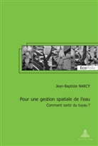 Jean-Baptiste Narcy - Pour une gestion spatiale de l'eau