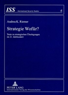 Andrea K. Riemer - Strategie Wofür?