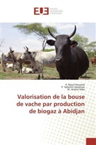 P Valenti Houénou, P Valentin Houénou, P. Valentin Houénou, K Raou Kouamé, K Raoul Kouamé, K. Raoul Kouamé... - Valorisation de la bouse de vache par production de biogaz à Abidjan
