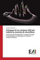 Claudia Colantonio - Sviluppo di un sistema LED per inibire la crescita di microflora