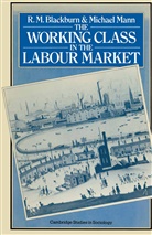 R Blackburn, R M Blackburn, R. M. Blackburn, Michael Mann - The Working Class in the Labour Market