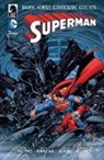 Jon Bogdanove, Chuck Dixon, Dan Jurgens, Carlo Meglia, Carlos Meglia, Kevin Nowlan... - The Dark Horse Comics/DC: Superman