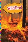 Elizabeth Raum - Wildfire!