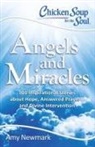 Amy Newmark - Chicken Soup for the Soul: Angels and Miracles
