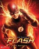 Abbie Bernstein - Art and Making of the Flash
