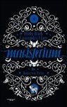 Holly Black, Cassandra Clare - De koperen vuist