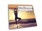 Wellnessmusik zum Entspannen, 1 Audio-CD (Hörbuch)
