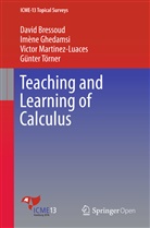 Davi Bressoud, David Bressoud, Imèn Ghedamsi, Imène Ghedamsi, V Martinez-Luaces, Victor Martinez-Luaces... - Teaching and Learning of Calculus