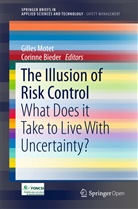 Bieder, Bieder, Corinne Bieder, Gille Motet, Gilles Motet - The Illusion of Risk Control