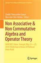 Cheikh Thiecoumbe Gueye, Cheikh Thiécoumbe Gueye, Mercedes Siles Molina, Siles Molina, Siles Molina, Mercedes Siles Molina... - Non-Associative and Non-Commutative Algebra and Operator Theory