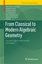 Gianfranco Casnati, Albert Conte, Alberto Conte, Letterio Gatto, Letterio Gatto et al, Livia Giacardi... - From Classical to Modern Algebraic Geometry
