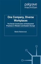 M. Kahancova, M Kahancová, M. Kahancová - One Company, Diverse Workplaces