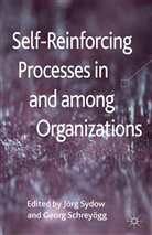 G. Schreyogg, Schreyögg, Schreyögg, G. Schreyögg, Sydow, J Sydow... - Self-Reinforcing Processes in and among Organizations