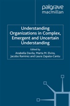 Anabell Davila, Anabella Davila, Mart Elvira, Marta Elvira, Jacobo Ramirez, Jacobo et Ramirez... - Understanding Organizations in Complex, Emergent and Uncertain Environments