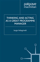 S Pellegrinelli, S. Pellegrinelli - Thinking and Acting as a Great Programme Manager