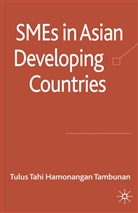 T. Tambunan, Tulus Tambunan, Tulus Tahi Hamonangan Tambunan - SMEs in Asian Developing Countries