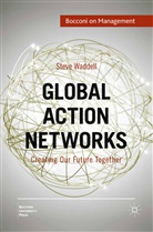 S. Waddell, Steve Waddell - Global Action Networks