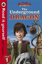 Dragons: The Underground Dragon Read It Yourself With Ladybird Level