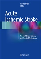 Jaecha Park, Jaechan Park - Acute Ischemic Stroke