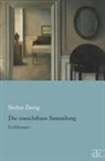 Stefan Zweig - Die unsichtbare Sammlung