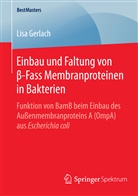 Lisa Gerlach - Einbau und Faltung von beta-Fass Membranproteinen in Bakterien