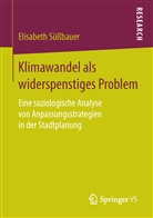 Elisabeth Süßbauer - Klimawandel als widerspenstiges Problem