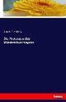 August Schuberg - Die Protozoen des Wiederkäuermagens