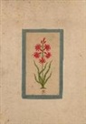 Sans Auteur, Sans Auteur - Carnet blanc, fleur 1, miniature