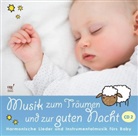 Andreas Claus - Musik zum Träumen und zur guten Nacht. Tl.2 (Audiolibro)