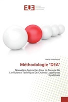 Walid Abdelfattah - Méthodologie "DEA"