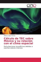 Rebeca López Montes - Cálculo de TEC sobre México y su relación con el clima espacial