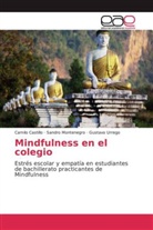 Camil Castillo, Camilo Castillo, Sandr Montenegro, Sandro Montenegro, Gustav Urrego, Gustavo Urrego - Mindfulness en el colegio