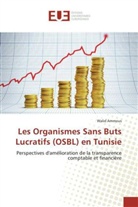 Walid Ammous - Les Organismes Sans Buts Lucratifs (OSBL) en Tunisie
