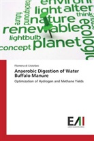 Filomena di Cristofaro - Anaerobic Digestion of Water Buffalo Manure