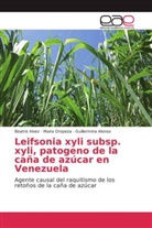 Guillermina Alonso, Beatri Alvez, Beatriz Alvez, Mair Oropeza, Maira Oropeza - Leifsonia xyli subsp. xyli, patogeno de la caña de azúcar en Venezuela