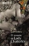 D. H. Lawrence - El amante de Lady Chatterley