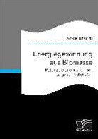Anke Brandt - Energiegewinnung aus Biomasse. Potenziale und Risiken von biogenen Rohstoffen