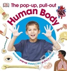 DK - Pop-Up, Pull-Out Human Body