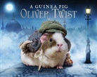Charle Dickens, Charles Dickens, Tess Gammell, Ale Goodwin, Alex Goodwin, Tess Newall - A Guinea Pig Oliver Twist