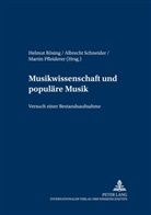 Martin Pfleiderer, Helmut Rösing, Albrecht Schneider - Musikwissenschaft und populäre Musik