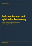 Andreas v. Heyl, Andreas Von Heyl, Andreas von Heyl - Zwischen Burnout und spiritueller Erneuerung