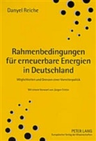Danyel Reiche - Rahmenbedingungen für erneuerbare Energien in Deutschland