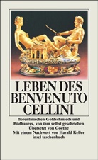Benvenuto Cellini - Leben des Benvenuto Cellini florentinischen Goldschmieds und Bildhauers