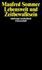 Manfred Sommer - Lebenswelt und Zeitbewußtsein