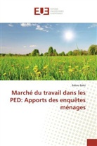 Babou Bako - Marché du travail dans les PED: Apports des enquêtes ménages