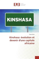 Trésor Ikulu - Kinshasa: évolution et devenir d'une capitale africaine
